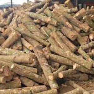 thu-mua-nguyen-lieu-go